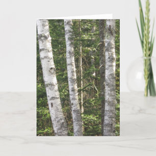Birch Tree Greeting Card Kaart
