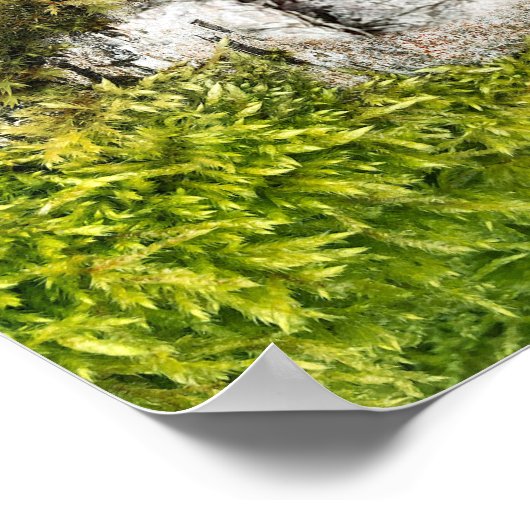 Birch Tree Heart Rustic Fall Weddenschap Welkom Poster (Hoek)