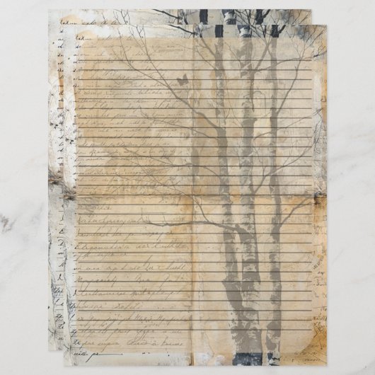 Birch Tree Oud manuscript Briefhoofd (Voorkant / Achterkant)