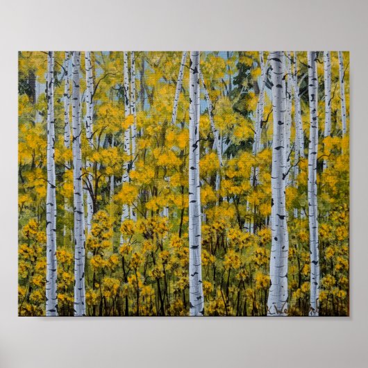 Birch Trees | Forêt d'Aspen | Poster des feuilles  (Devant)