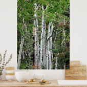 Birch Trees Mount Charleston Nevada Poster (Keuken)