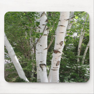 Birch Trees Mousepad Muismat