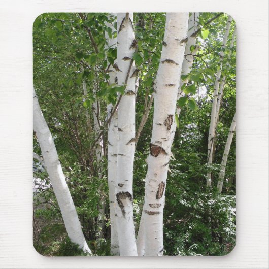 Birch Trees Mousepad Muismat (Voorkant)