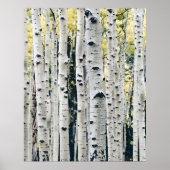 Birch Trees Rustic Cabin Poster (Voorkant)