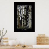 Birch Trees Wilderness Forest Foto's afdrukken Poster (Keuken)