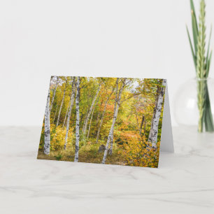 Birches blanches dans la carte de voeux d'automne