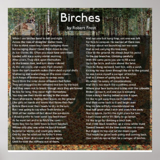 Birches van Robert Frost Compleet gedicht/Birkenwa Poster