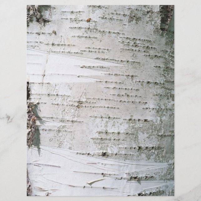 Birchschors (Voorkant)
