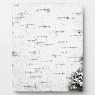 Birchschors Fotoplaat