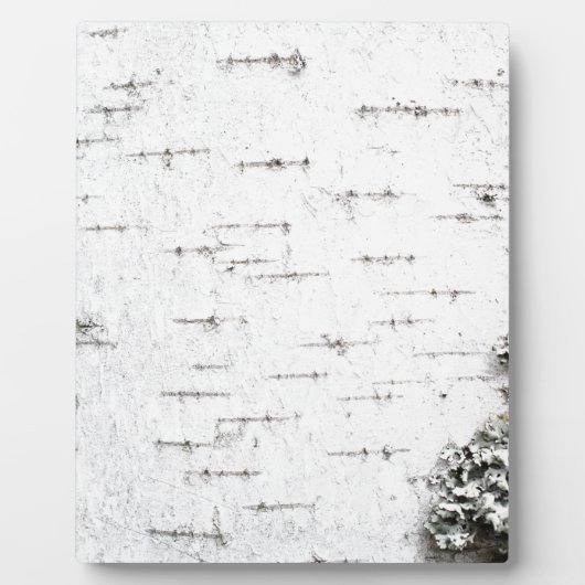 Birchschors Fotoplaat (Voorkant)