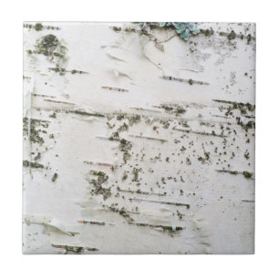 Birchschors Tegeltje