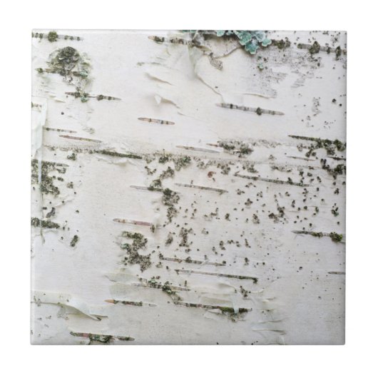 Birchschors Tegeltje (Voorkant)