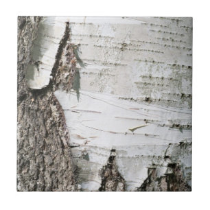Birchschors Tegeltje