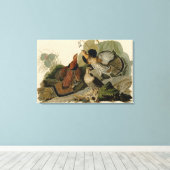 Bird, America, Ruffed Grouse, Audubon, Canvas (Insitu (Houten vloer))