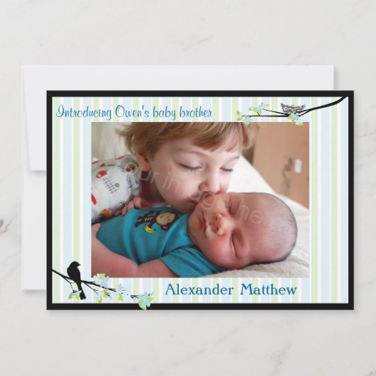 Bird and Blossom Foto Birth Announcement Blues Aankondiging (Voorkant)