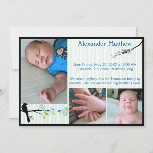 Bird and Blossom Foto Birth Announcement Blues Aankondiging (Achterkant)