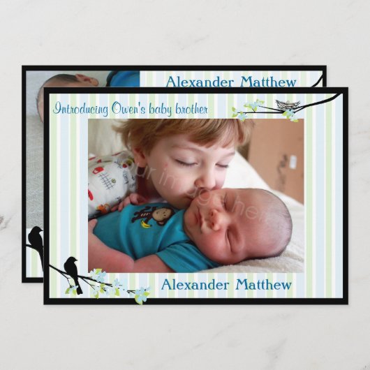 Bird and Blossom Foto Birth Announcement Blues Aankondiging (Voorkant / Achterkant)