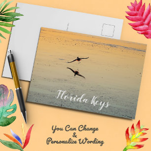 Bird and Reflection Flying Sunset Key West Florida Briefkaart