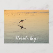 Bird and Reflection Flying Sunset Key West Florida Briefkaart (Voorkant)