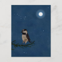 Bird Art, bij nacht met maan, Big Dipper, sterren