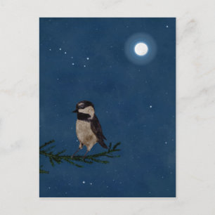 Bird Art, bij nacht met maan, Big Dipper, sterren Briefkaart