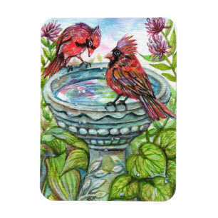 Bird Bath Magneet