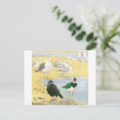 Bird Beach Wildlife Jackdaw Gull Sea Carte postale (Debout devant)