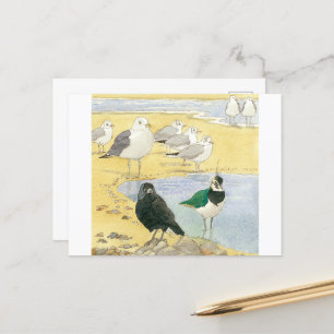 Bird Beach Wildlife Jackdaw Gull Zee Briefkaart