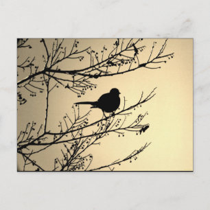 "Bird Black" Carte postale d'art JTG