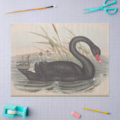 Bird Black Swan Ephemera Decoupage Tissuepapier (Craft)