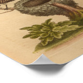 Bird Blue Brown Nest Print (Hoek)