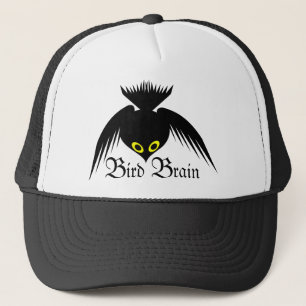Bird Brain Crow Pet