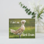 Bird Brain Funny Chicken Briefkaart (Staand voorkant)
