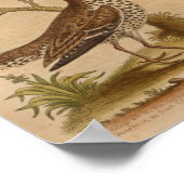 Bird Brown Yellow Print (Hoek)