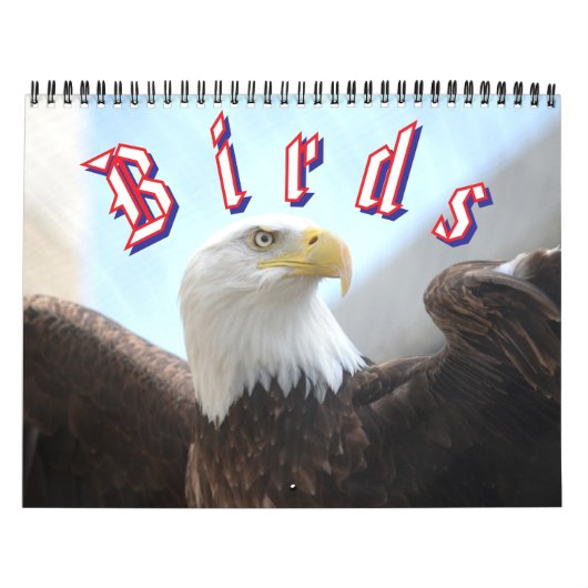 Bird Calendar Kalender (Hoes)