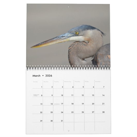 Bird Calendar Kalender (Mar 2026)