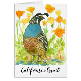 Bird California Quail Oranje klaprozen