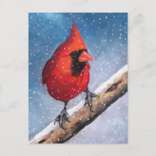 BIRD: CARDINAL: SNEEUW: OLIEPASTEL ART BRIEFKAART