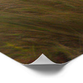 Bird Caught Crab Poster (Coin)