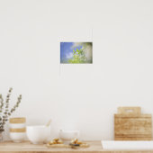 Bird Cherry Tree Blossom Flowers Sky Poster (Keuken)