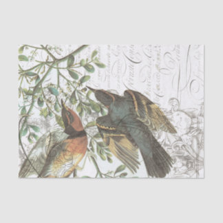  Bird Collage Tissue Paper nr.508 Tissuepapier