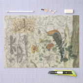 Bird Collage Tissuepapier (Craft)