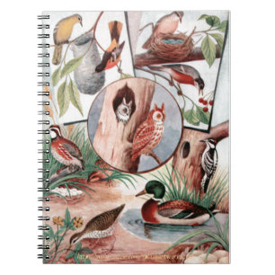 Bird Combo Notitieboek