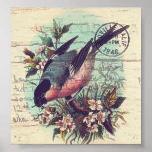 Bird Digital Art Poster