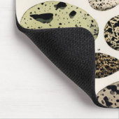  Bird Egg Illustration Muismat (Hoek)