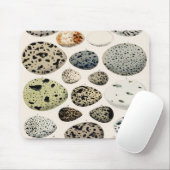 Bird Egg Illustration Muismat (Met muis)