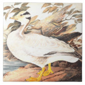  Bird Elizabeth Gwillim Bar-kopgans Tegeltje (Voorkant)