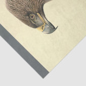 Bird Ephemera Decoupage Brown Eagle Tissuepapier (Detail)