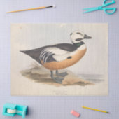 Bird Ephemera Decoupage  Duck Tissuepapier (Craft)