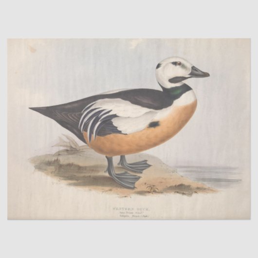 Bird Ephemera Decoupage  Duck Tissuepapier (Voorkant)